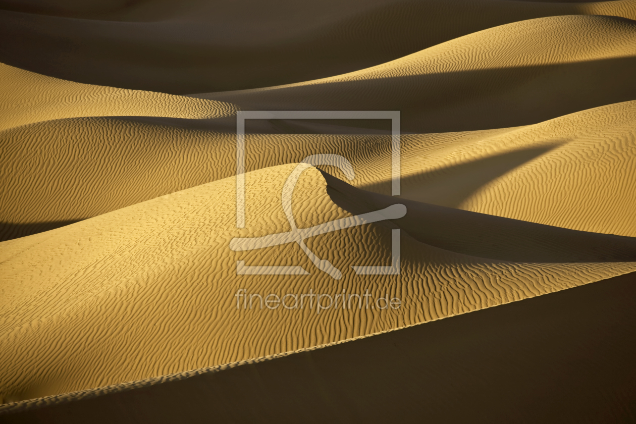 Bild-Nr.: 10005467 Wüstenabenteuer erstellt von sarosa
