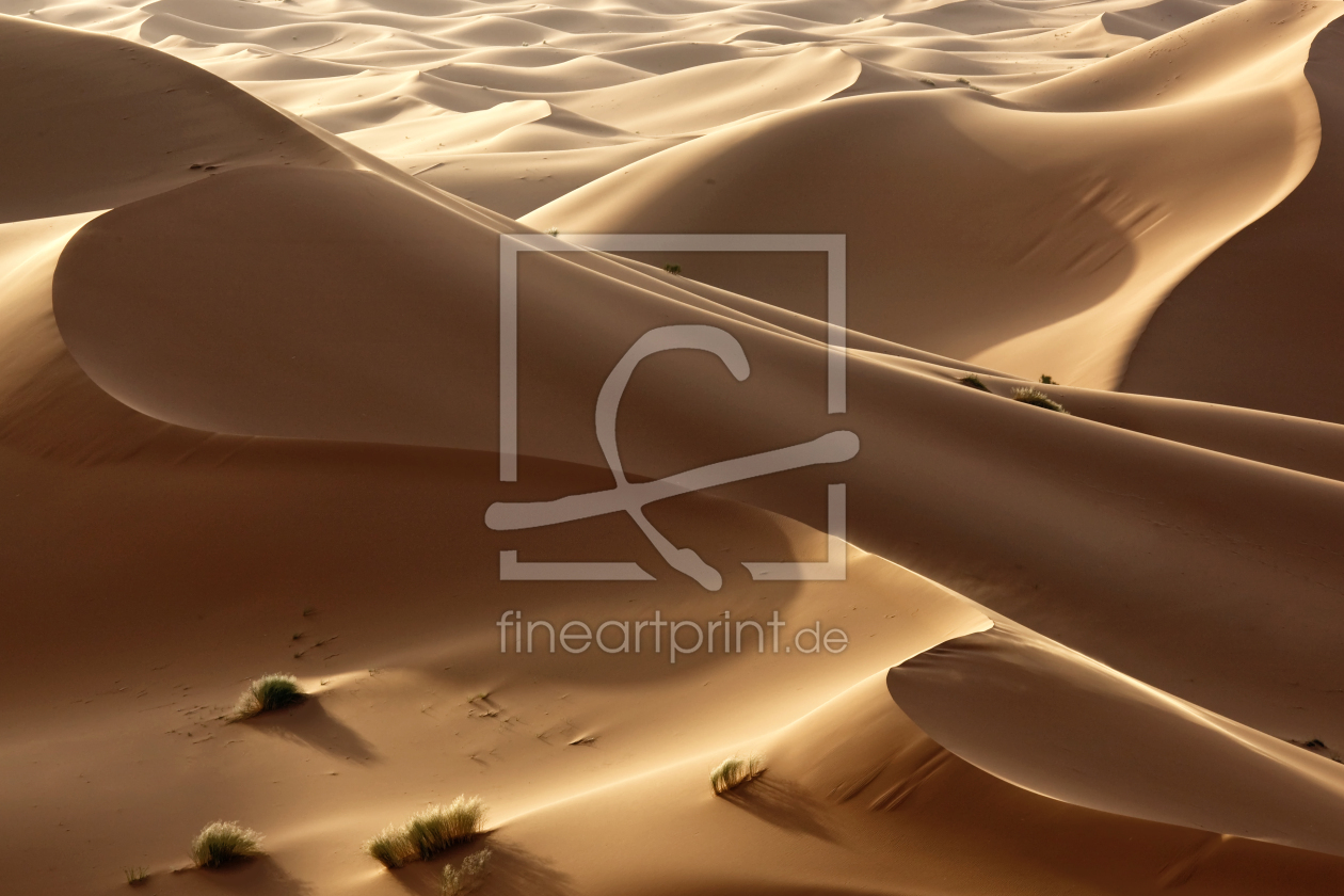 Bild-Nr.: 10103712 Sahara desert dream erstellt von sarosa
