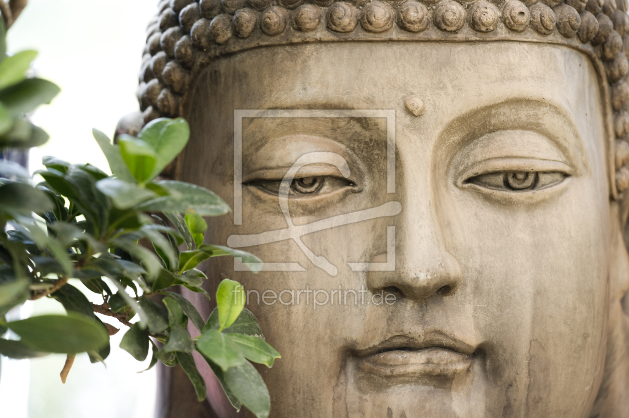 Bild-Nr.: 10108456 Buddha #1 erstellt von danielschoenen