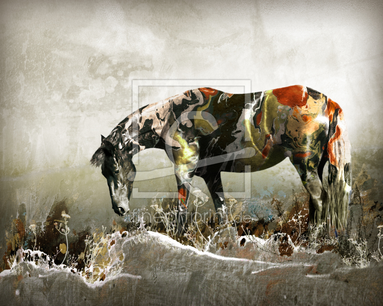 Bild-Nr.: 10270539 Art Painted Horse erstellt von jujutschka