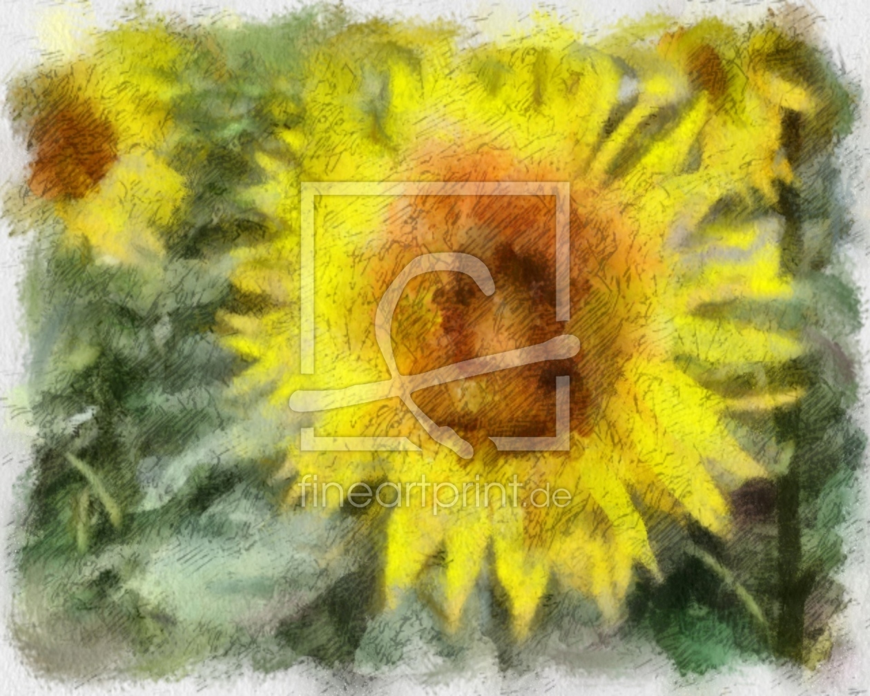 Bild-Nr.: 10390479 Sonnenblumen erstellt von Roland Richter