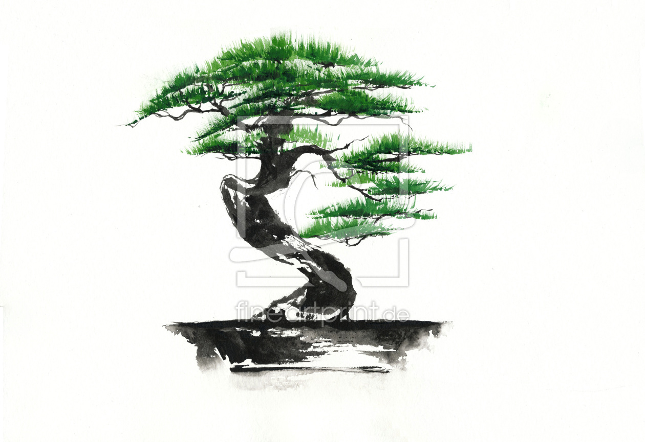 Bild-Nr.: 10412895 Bonsai erstellt von JitkaKrause