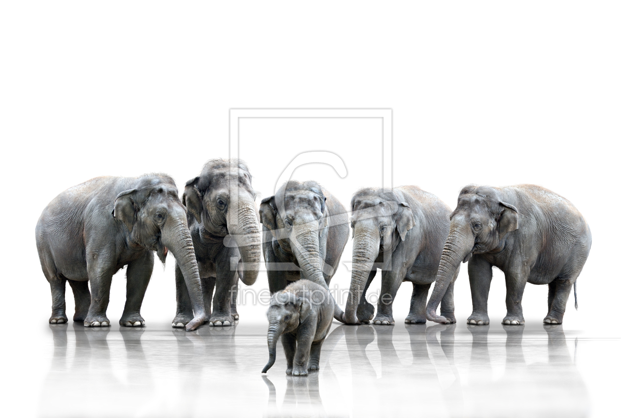 Bild-Nr.: 10457772 Elefantenherde erstellt von Dreblow