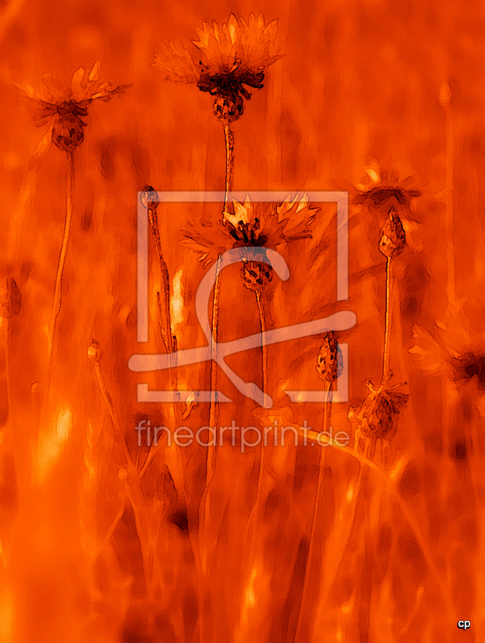Bild-Nr.: 10510815 Orange Corn erstellt von Petrolafotografie