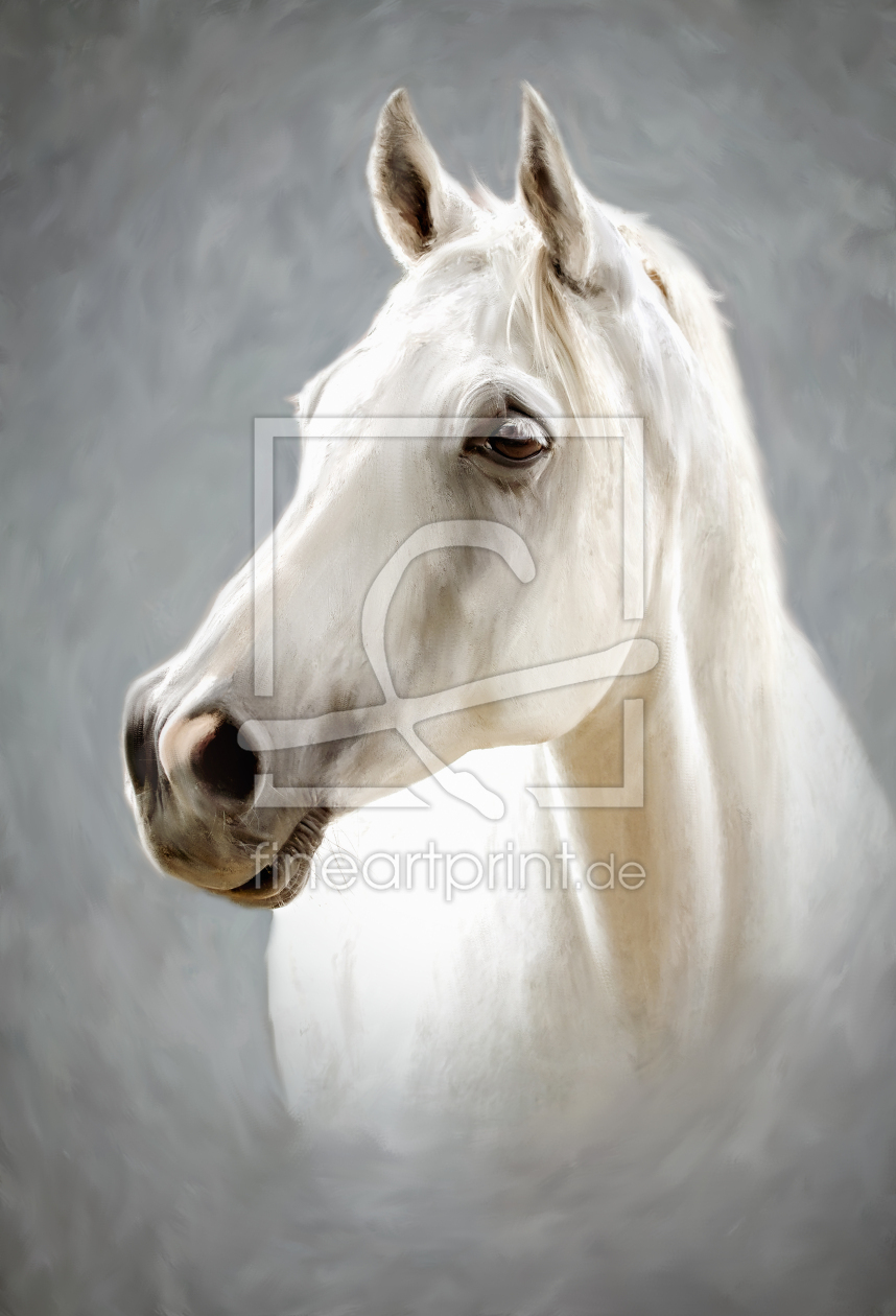 Bild-Nr.: 10707045 Weisses Pferd erstellt von Val Thoermer