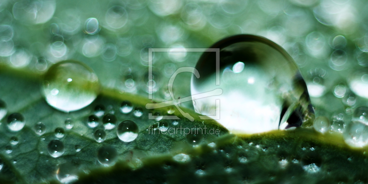 Bild-Nr.: 10713297 Wasserspiel Saftgrün - pur Natur erstellt von Knibbli