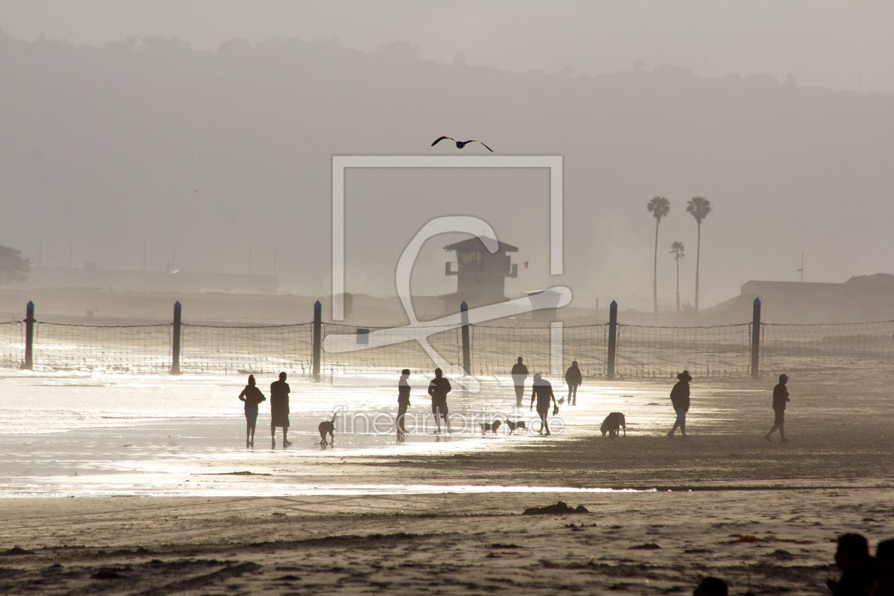 Bild-Nr.: 10757065 dog beach  erstellt von Christian Theile