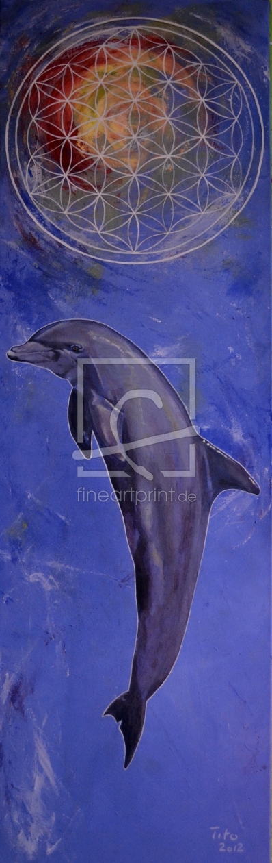 Bild-Nr.: 10765209 Delfin erstellt von GalerieFreiraum