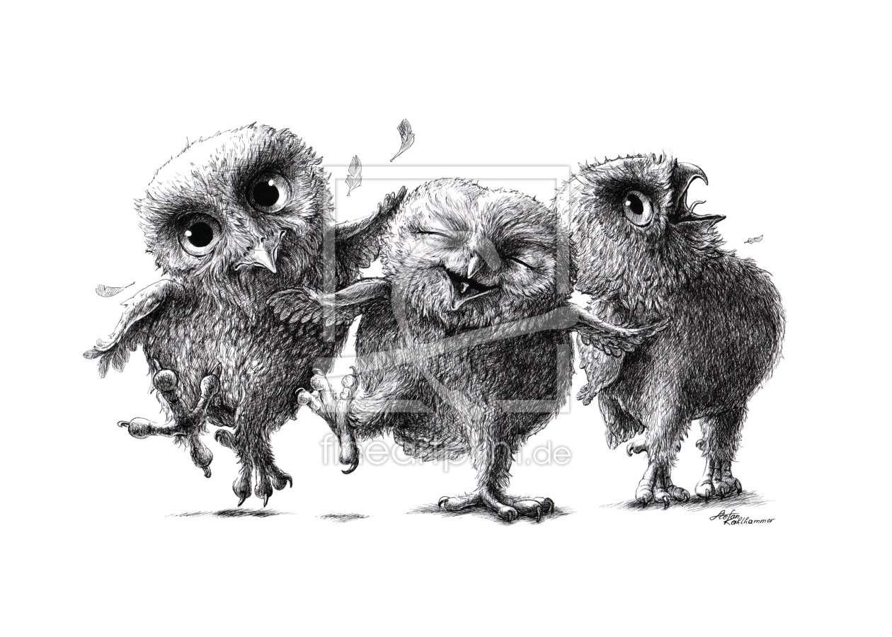 Bild-Nr.: 10789967 Drei verrückte Eulen - Three Crazy Owls erstellt von StefanKahlhammer