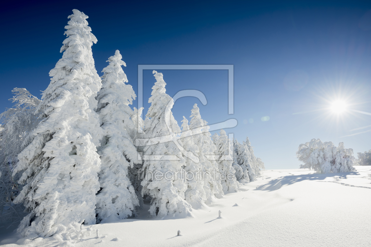 Bild-Nr.: 10806185 Wintermärchen erstellt von danielschoenen