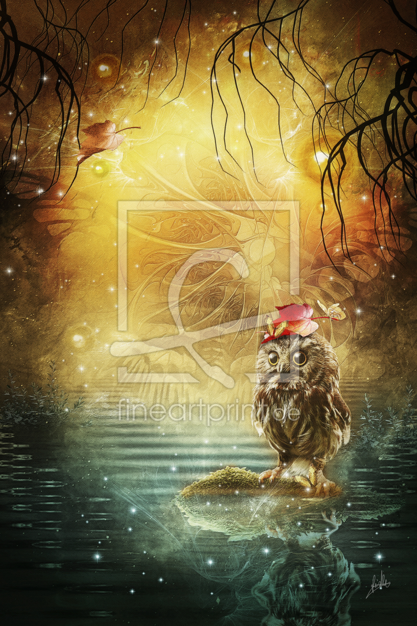 Bild-Nr.: 10876376 magic owl erstellt von greenfeed
