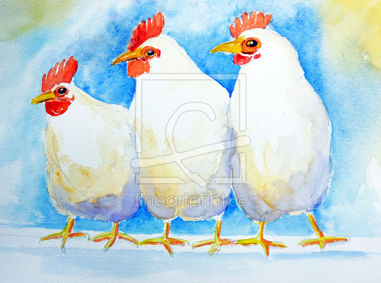 Bild-Nr.: 10886916 3 Hühner auf der Stange erstellt von Heynbraunschweig