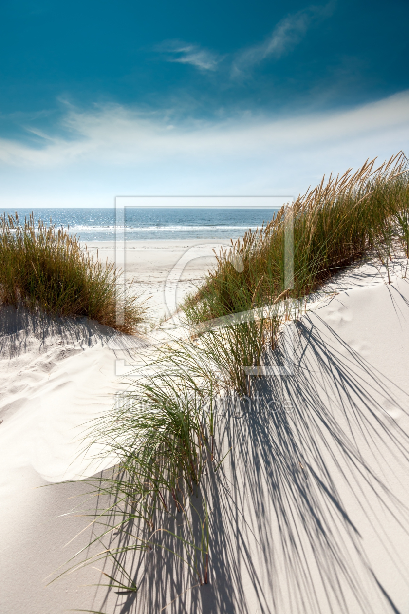Bild-Nr.: 11097993 Volle Pracht - Dünen mit Strandhafer erstellt von Reiner Würz