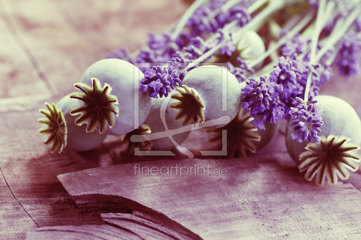 Bild-Nr.: 11276860 Mohn Kapsel und Lavendel Blüten im Stillleben erstellt von Tanja Riedel