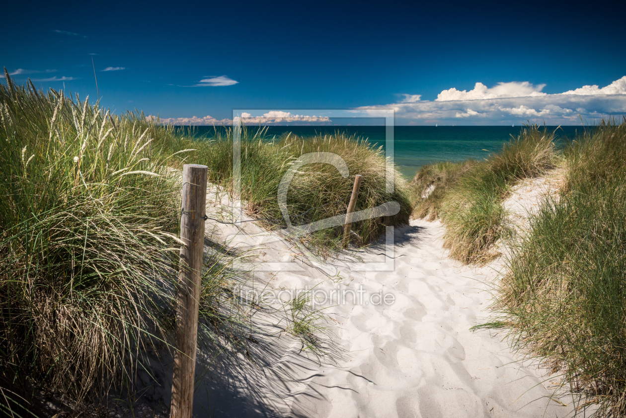 Bild-Nr.: 11317940 Strand von Darß, Mecklenburg-Vorpommern erstellt von orxy