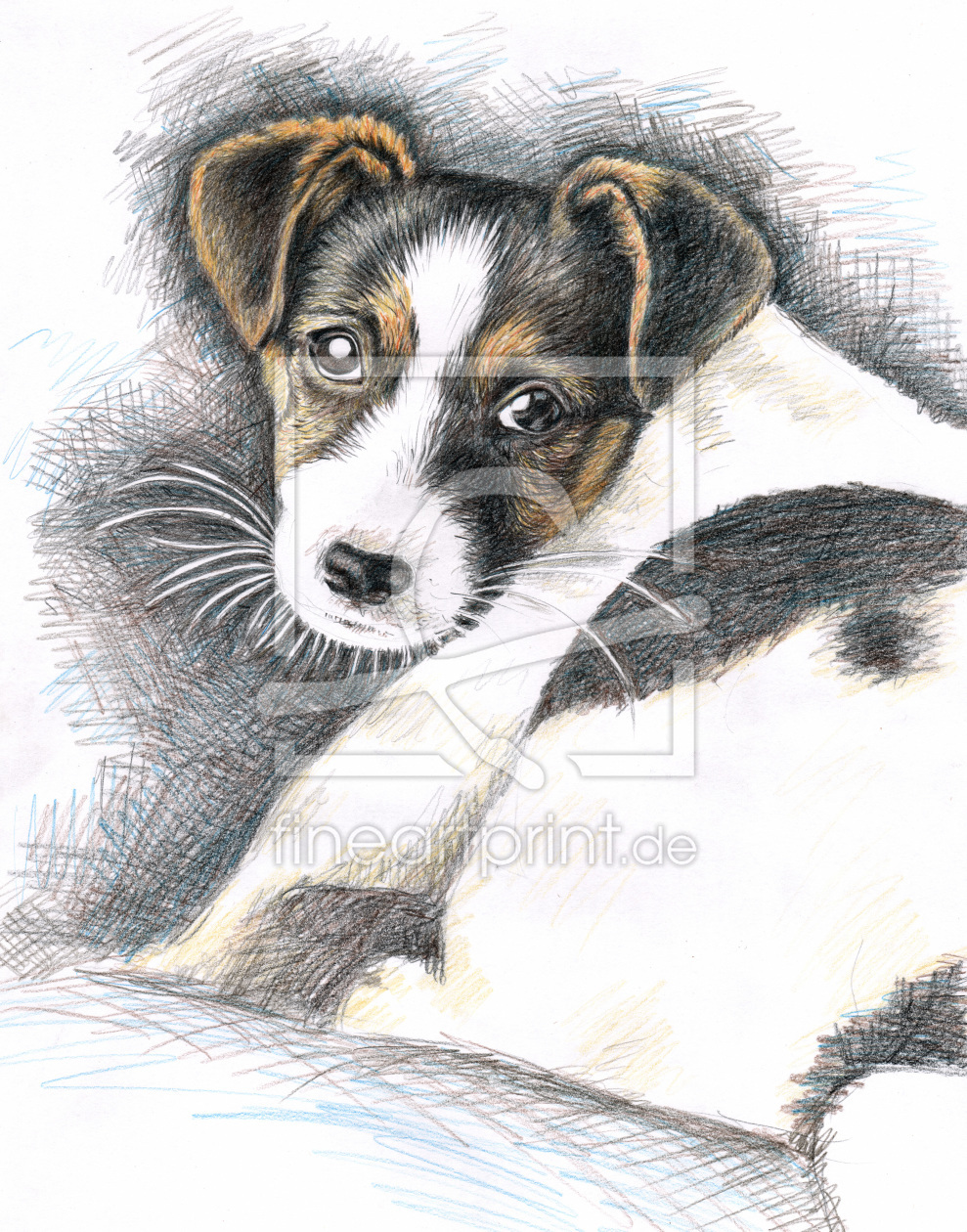 Bild-Nr.: 11467610 Jack Russell Terrier Welpe erstellt von NicoleZeug