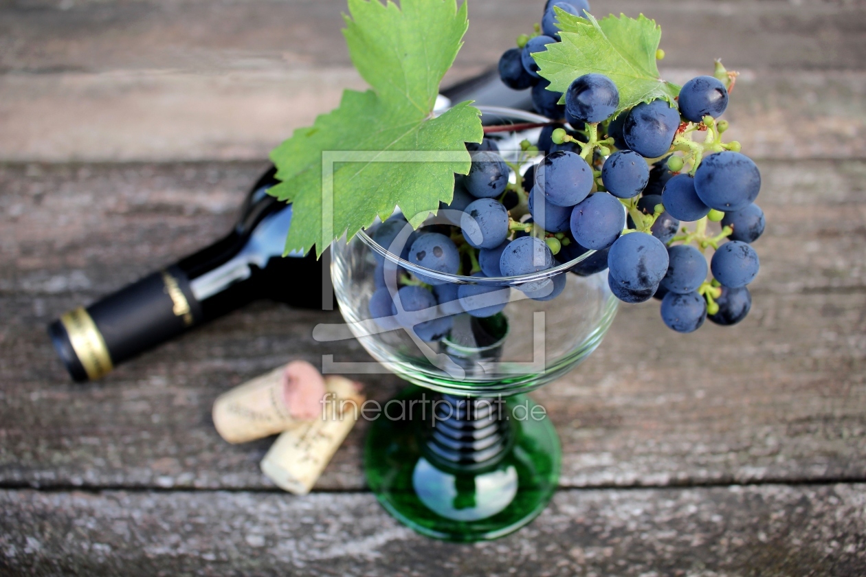 Bild-Nr.: 11572086 Blaue Weintrauben erstellt von ninami