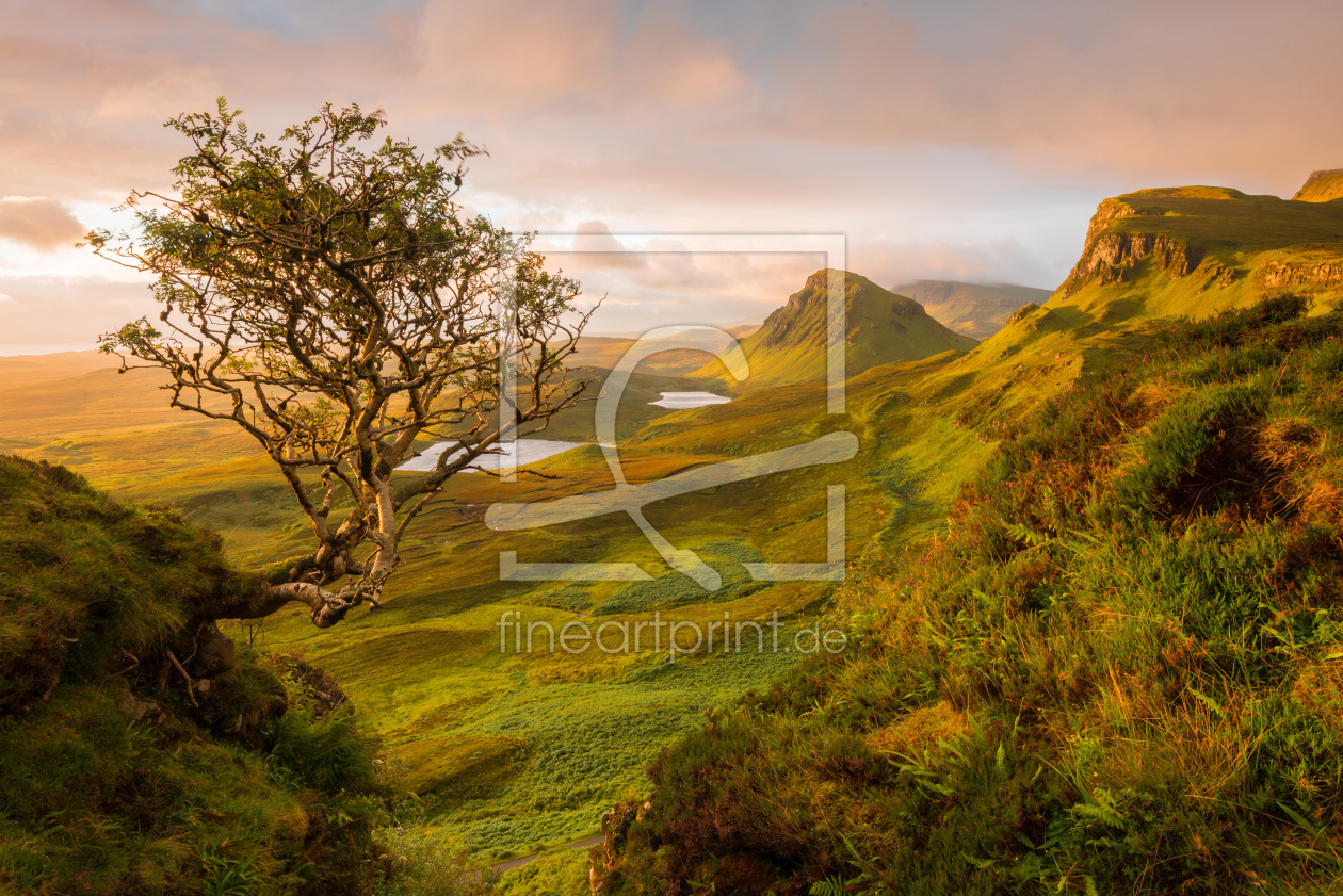 Bild-Nr.: 11598476 The Quiraing, Skye, Schottland erstellt von orxy