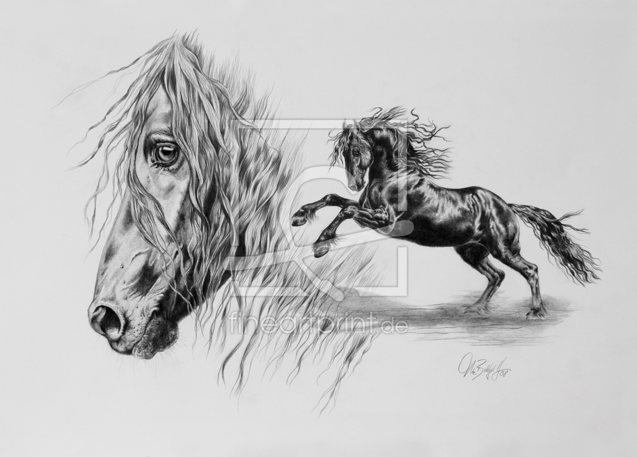 Bild-Nr.: 11623121 Liberté noir erstellt von Art-Equus