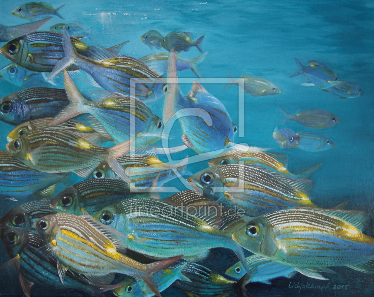 Bild-Nr.: 11698820 Tropische Fische erstellt von LiDija