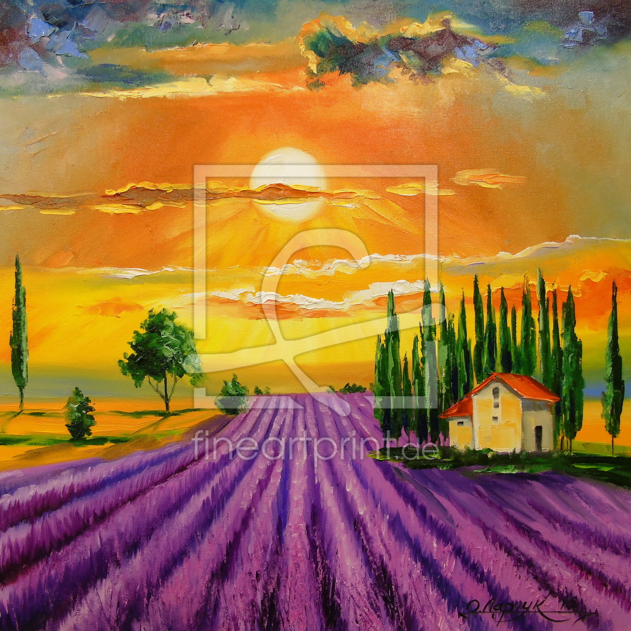 Bild-Nr.: 11701222 Lavendelfeld bei Sonnenuntergang erstellt von olha darchuk