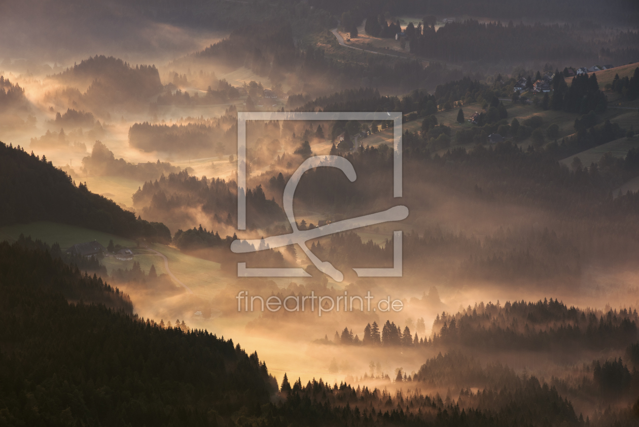 Bild-Nr.: 11791516 Schwarzwald im Licht und Nebel erstellt von Andreas Schott