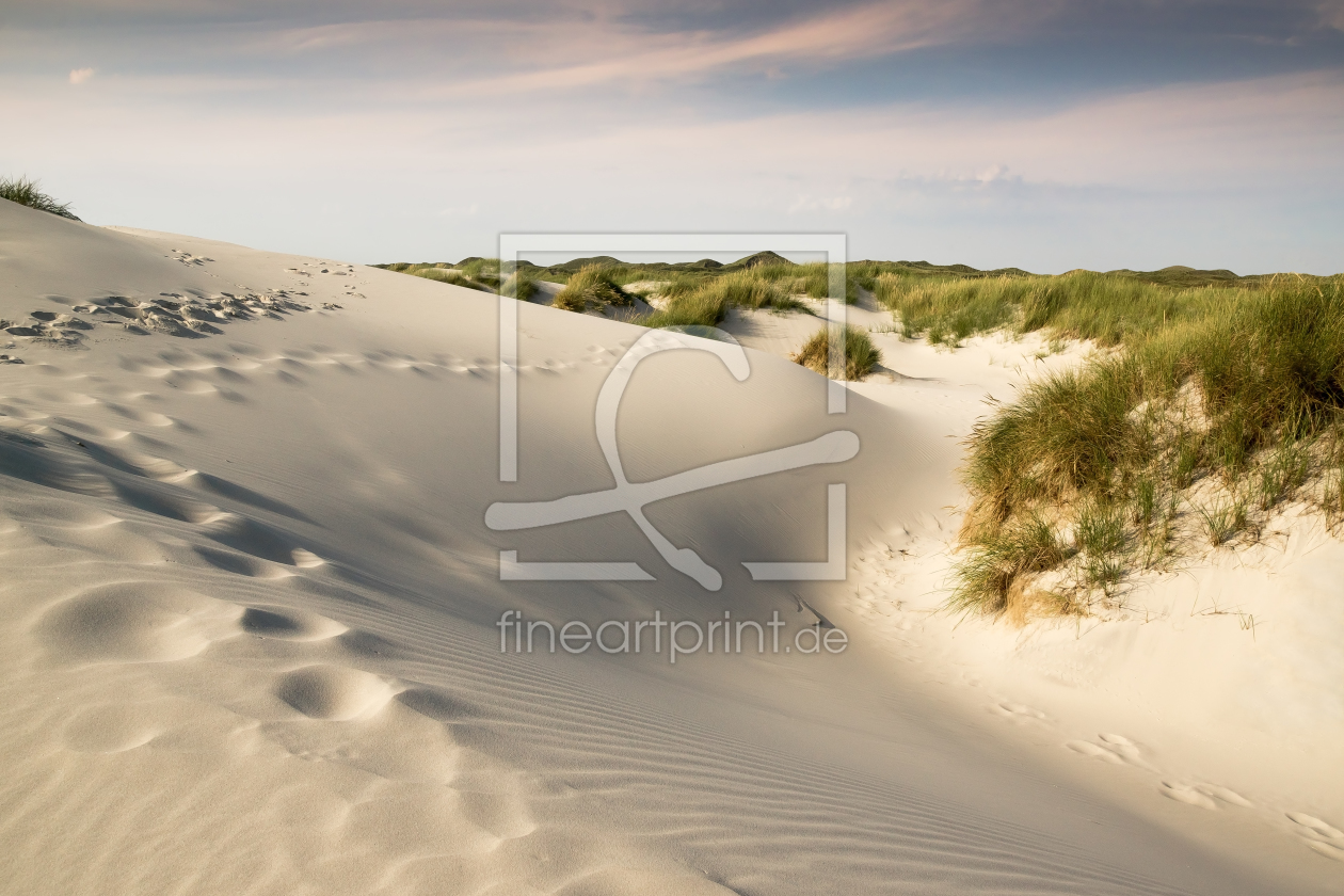 Bild-Nr.: 11922270 In den Dünen von Amrum erstellt von Reiner Würz