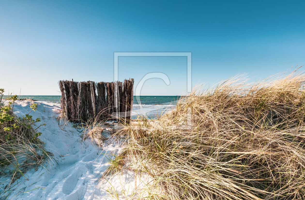 Bild-Nr.: 12722318 Natürlicher Sandfänger an der Ostsee  erstellt von Ursula Reins