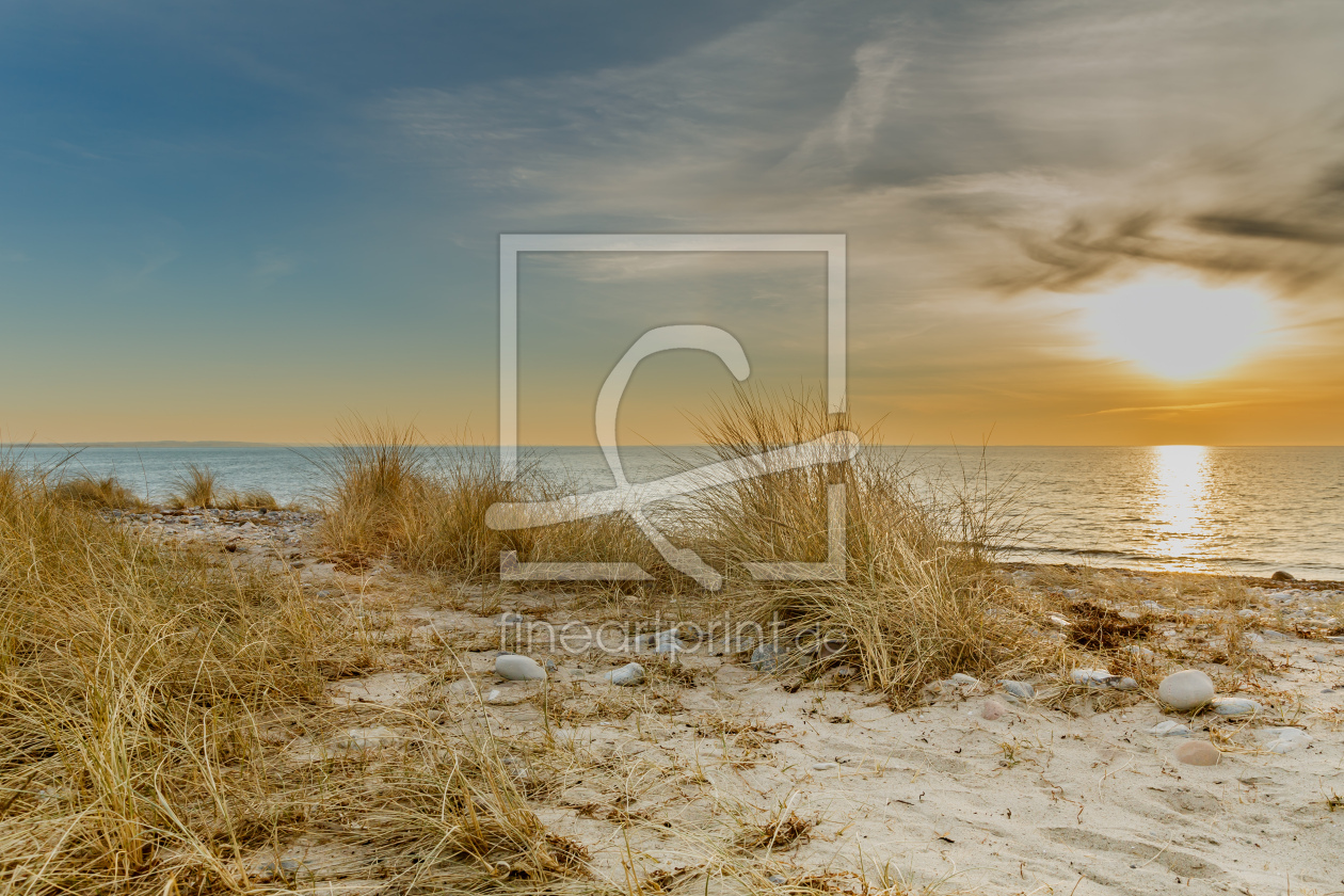 Bild-Nr.: 12807441 Stranddünen auf Fehmarn erstellt von Ursula Reins