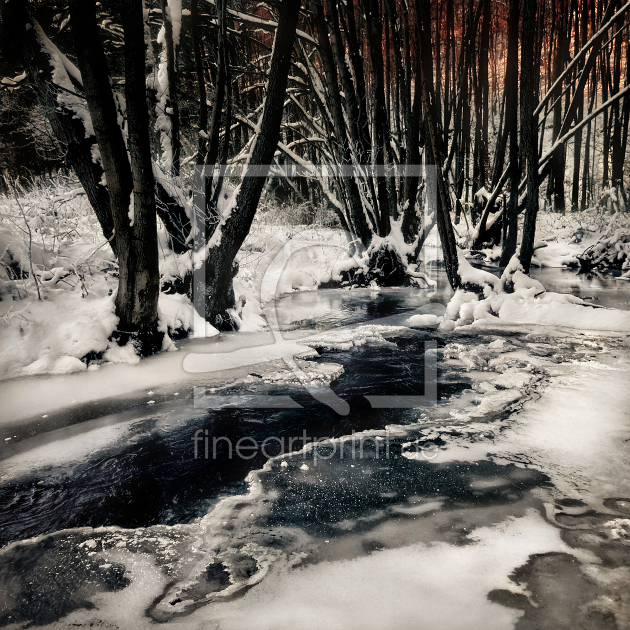 Bild-Nr.: 9524006 Winter Impressionen | 03 erstellt von Frank Wächter