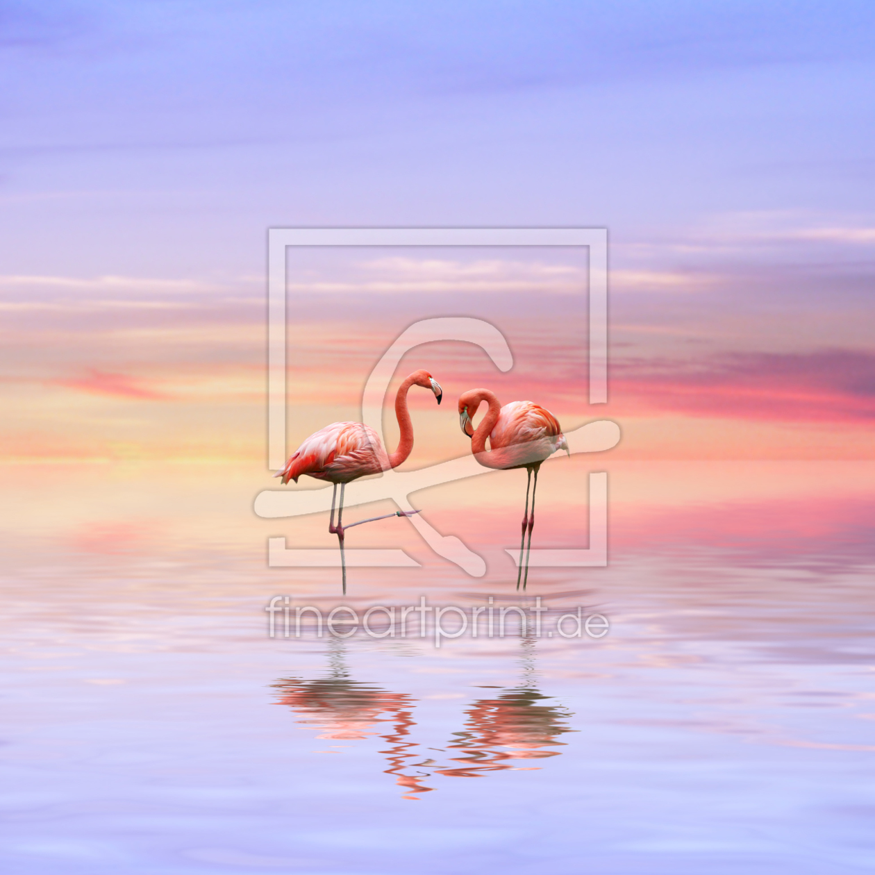 Bild-Nr.: 9601328 Flamingos in love erstellt von Zuboff