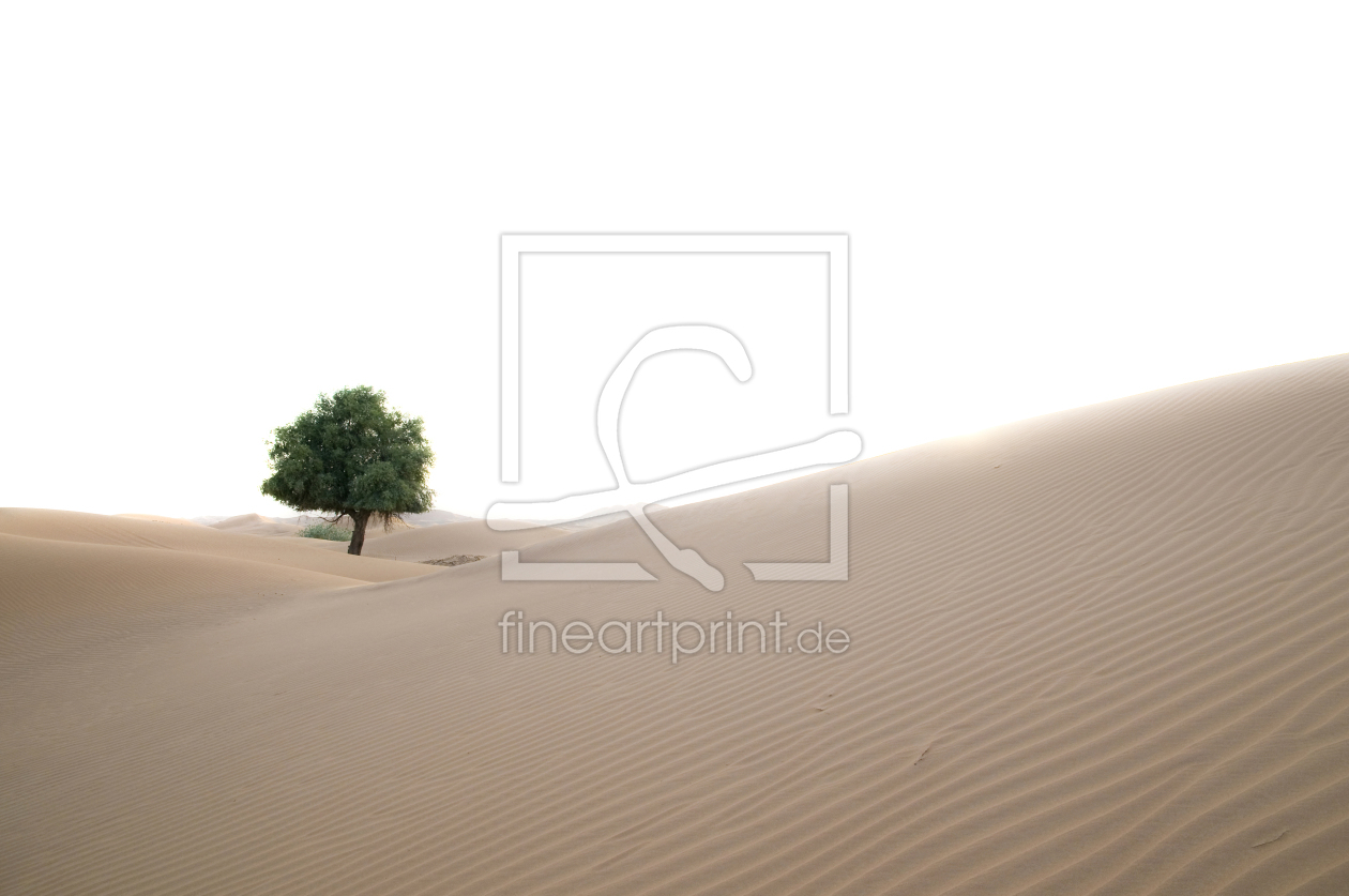 Bild-Nr.: 9638418 wie kommt der Baum in die Wüste erstellt von danielschoenen