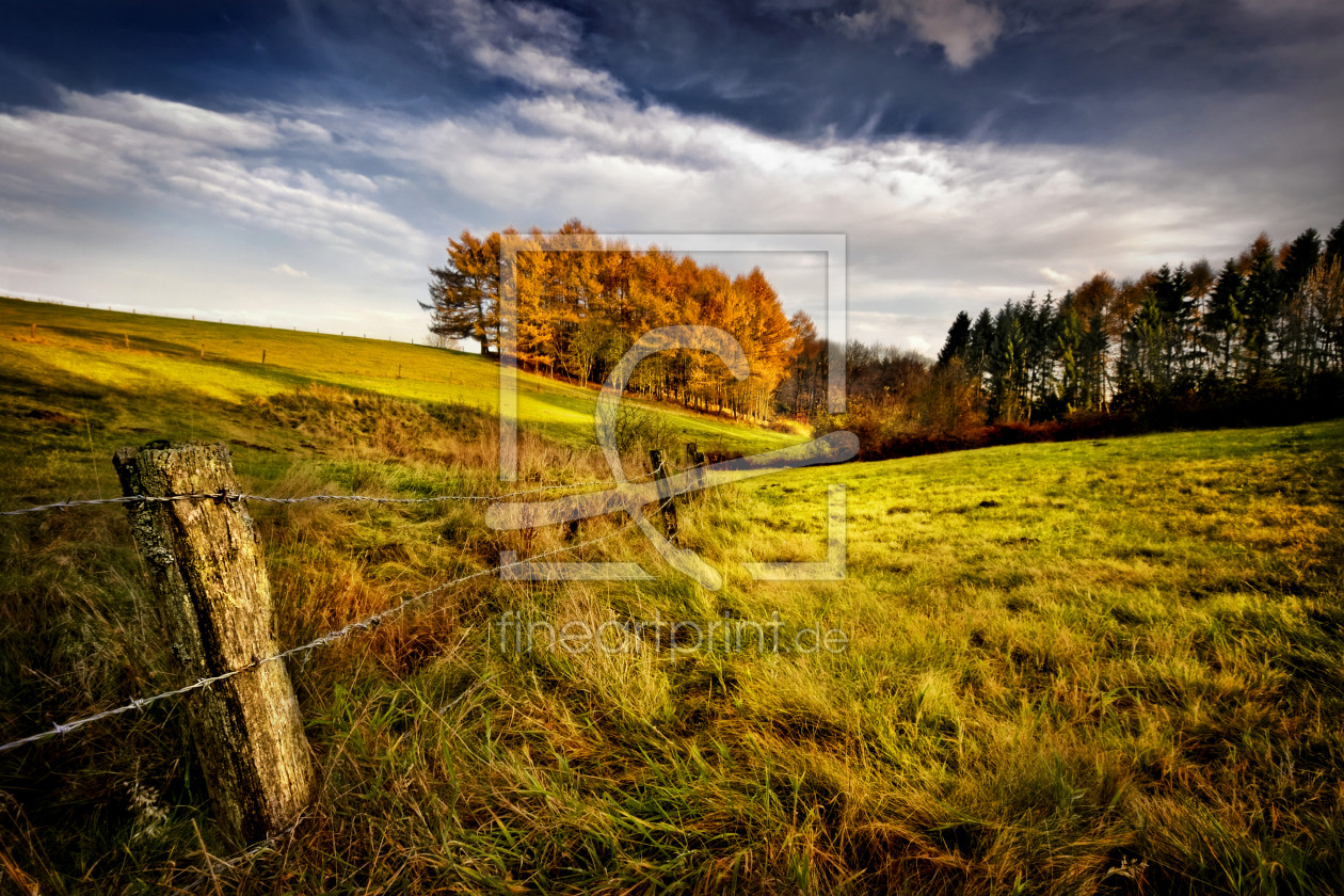 Bild-Nr.: 9807506 Goldener Herbst | 01 erstellt von Frank Wächter