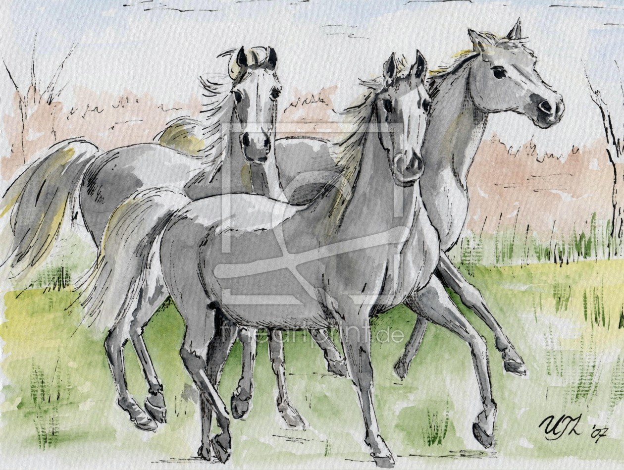 Bild-Nr.: 9842934 Skizze von galoppierenden Pferden erstellt von UTLDesign