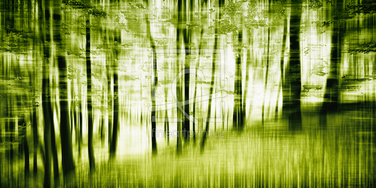 Bild-Nr.: 9873280 Fragment Forest | 04 erstellt von Frank Wächter