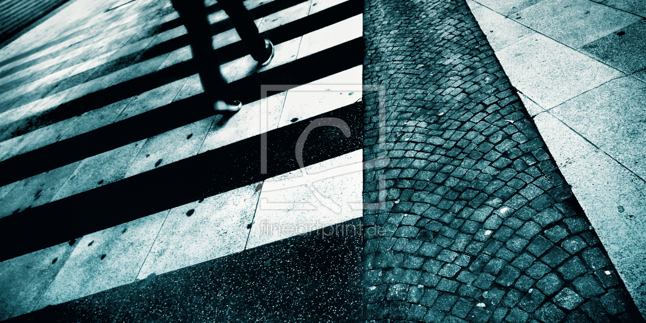 Bild-Nr.: 9909600 ZEBRA | crossing erstellt von Frank Wächter