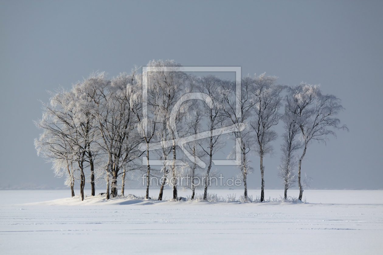 Bild-Nr.: 9918604 Eisige Baumgruppe erstellt von FotoDeHRO