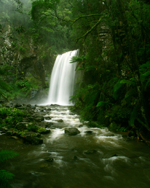 Wasserfall Otway Nationalpark Australien/9720620