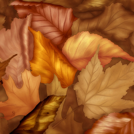 Herbstblätter/10253767