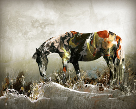 Art Painted Horse/10270539