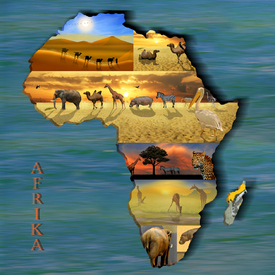 Kontinent Afrika Collage/10329095