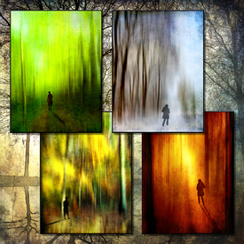 Four seasons (Quadrat, Variante Hintergrund scharf)/10347809