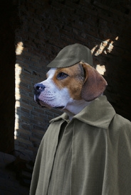 Sherlock Dog - Der Hund von Baskerville/10701445