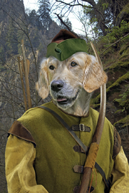 Robin Dog - Der Rächer vom Sherwood Forest/10839109