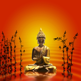 Buddha/10854671