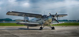 Antonov AN2/11008120