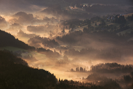 Schwarzwald im Licht und Nebel/11791516