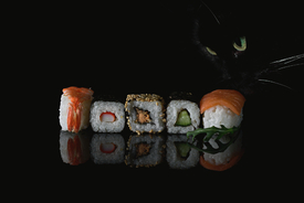 sushi cat/12346209