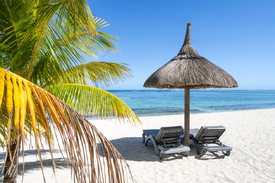 Strandurlaub auf Mauritius/12583966