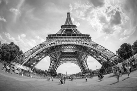 Eiffelturm Paris monochrom/12752381
